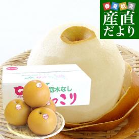 栃木県より産地直送 JA全農とちぎ にっこり梨 大玉 5キロ (4玉から6玉)送料無料 優品以上 なし 梨 ナシ