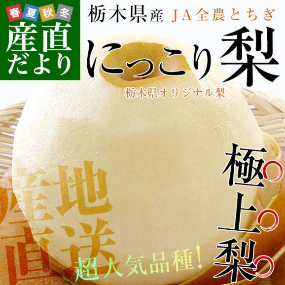 栃木県より産地直送 JA全農とちぎ にっこり梨 大玉 5キロ (4玉から6玉)送料無料 優品以上 なし 梨 ナシ02
