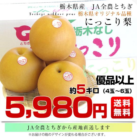 栃木県より産地直送 JA全農とちぎ にっこり梨 大玉 5キロ (4玉から6玉)送料無料 優品以上 なし 梨 ナシ03