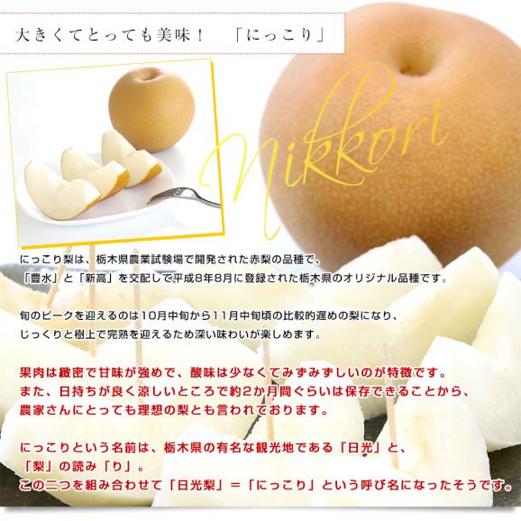 栃木県より産地直送 JA全農とちぎ にっこり梨 大玉 5キロ (4玉から6玉)送料無料 優品以上 なし 梨 ナシ04
