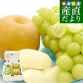 山梨又は長野産シャインマスカット1房(約500g)＆栃木産大玉梨2玉(合計約700g)　送料無料　豊水梨　あきづき梨　ぶどう　なし
