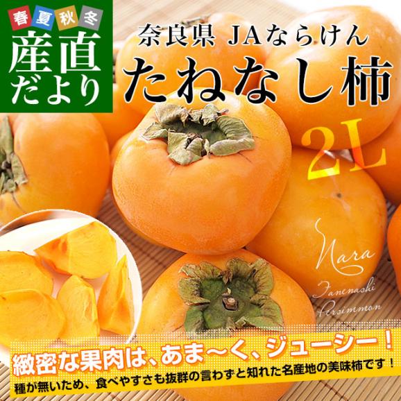 奈良県 JAならけん たねなし柿（刀根柿・平種無柿）青秀品 2Lサイズ 約2.5キロ(9玉から10玉) 送料無料 柿 かき02