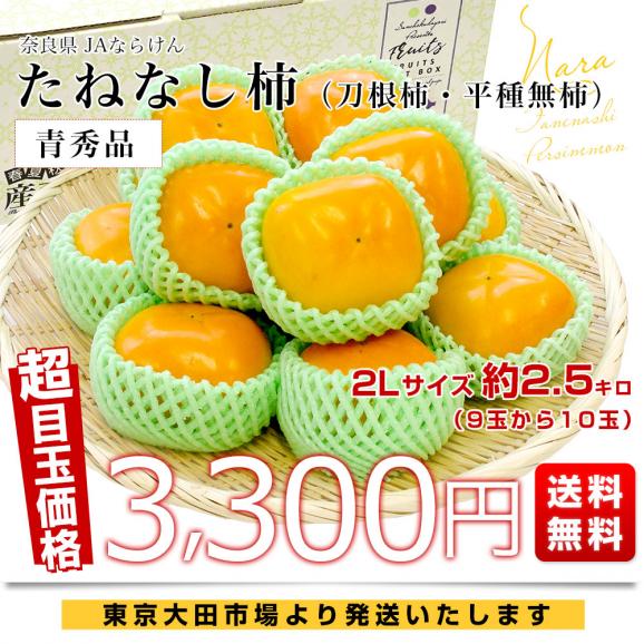 奈良県 JAならけん たねなし柿（刀根柿・平種無柿）青秀品 2Lサイズ 約2.5キロ(9玉から10玉) 送料無料 柿 かき03