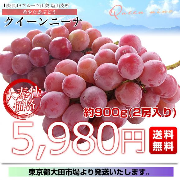 山梨県産 JAフルーツ山梨 塩山支所 クイーンニーナ 約900g（2房入り）送料無料　赤ぶどう 葡萄 種なしぶどう クール便 市場発送03