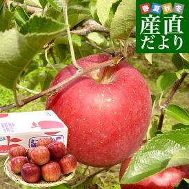 岩手県から産地直送 JAいわて中央 樹上完熟りんご「早生ふじ」等級：特以上 約2.5キロ（9玉から11玉）送料無料 りんご 林檎 リンゴ 早生フジ