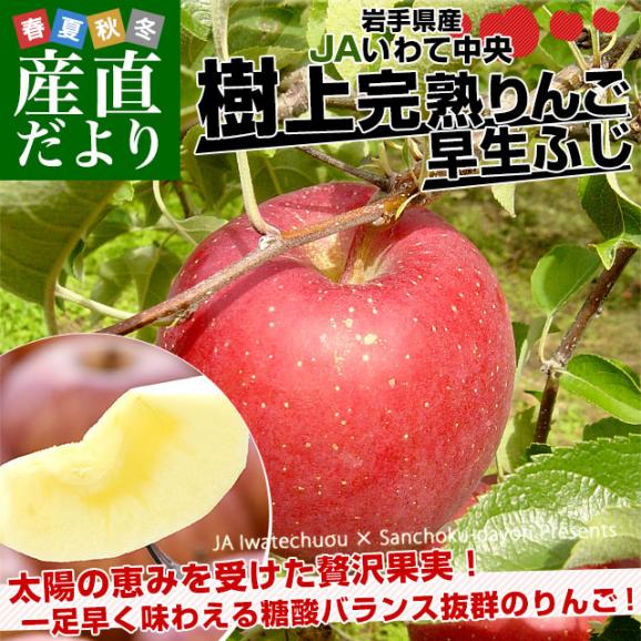岩手県から産地直送 JAいわて中央 樹上完熟りんご「早生ふじ」等級：特以上 約2.5キロ（9玉から11玉）送料無料 りんご 林檎 リンゴ 早生フジ02