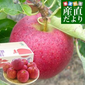 岩手県から産地直送 JAいわて中央 樹上完熟りんご「ジョナゴールド」等級：特以上 約2.5キロ（7玉から9玉）送料無料 りんご 林檎 リンゴ