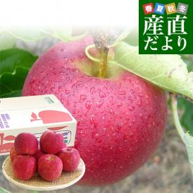 岩手県から産地直送 JAいわて中央 樹上完熟りんご「ジョナゴールド」等級：特以上 約2.5キロ（7玉から9玉）送料無料 りんご 林檎 リンゴ