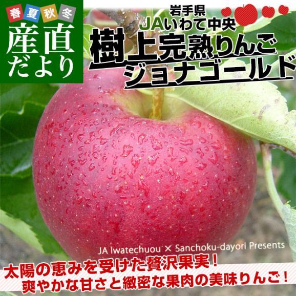 岩手県から産地直送 JAいわて中央 樹上完熟りんご「ジョナゴールド」等級：特以上 約2.5キロ（7玉から9玉）送料無料 りんご 林檎 リンゴ02