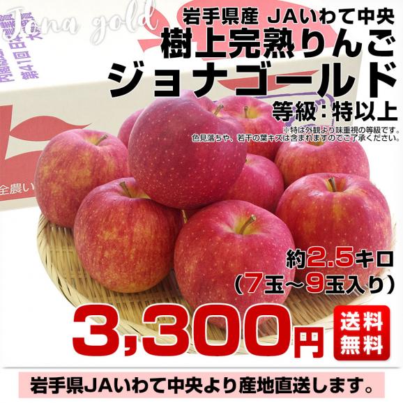 岩手県から産地直送 JAいわて中央 樹上完熟りんご「ジョナゴールド」等級：特以上 約2.5キロ（7玉から9玉）送料無料 りんご 林檎 リンゴ03