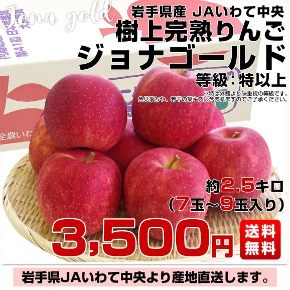 岩手県から産地直送 JAいわて中央 樹上完熟りんご「ジョナゴールド」等級：特以上 約2.5キロ（7玉から9玉）送料無料 りんご 林檎 リンゴ03