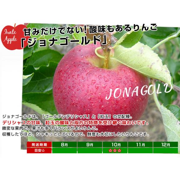 岩手県から産地直送 JAいわて中央 樹上完熟りんご「ジョナゴールド」等級：特以上 約2.5キロ（7玉から9玉）送料無料 りんご 林檎 リンゴ05