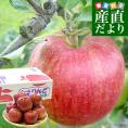 岩手県から産地直送 JAいわて中央 樹上完熟りんご「シナノスイート」等級：特以上 約2.5キロ（7玉から10玉）送料無料 りんご 林檎 リンゴ