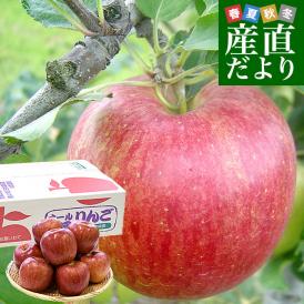岩手県から産地直送 JAいわて中央 樹上完熟りんご「シナノスイート」等級：特以上 約2.5キロ（7玉から10玉）送料無料 りんご 林檎 リンゴ
