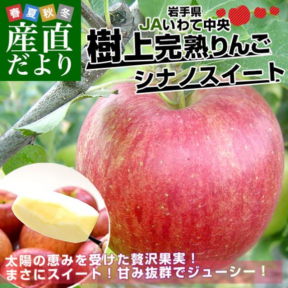 岩手県から産地直送 JAいわて中央 樹上完熟りんご「シナノスイート」等級：特以上 約2.5キロ（7玉から10玉）送料無料 りんご 林檎 リンゴ02