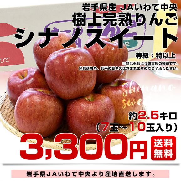 岩手県から産地直送 JAいわて中央 樹上完熟りんご「シナノスイート」等級：特以上 約2.5キロ（7玉から10玉）送料無料 りんご 林檎 リンゴ03