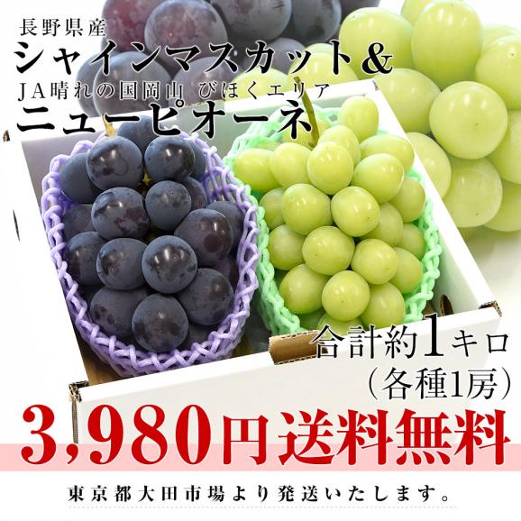 旬のぶどう食べ比べセット 長野県産シャインマスカット＆岡山県産ニューピオーネ 合計約1キロ（各1房）送料無料 ぶどう ブドウ ※クール便03