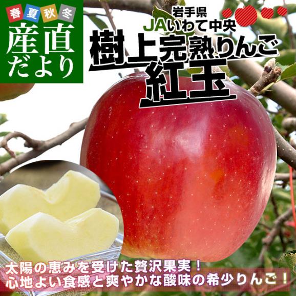 岩手県から産地直送 JAいわて中央 樹上完熟りんご「紅玉」等級：特以上 約2.5キロ（10玉から12玉）送料無料 りんご 林檎 リンゴ こうぎょく02