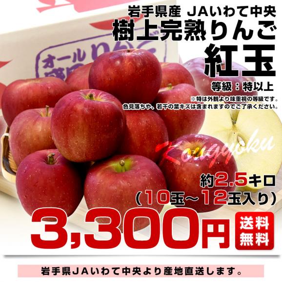 岩手県から産地直送 JAいわて中央 樹上完熟りんご「紅玉」等級：特以上 約2.5キロ（10玉から12玉）送料無料 りんご 林檎 リンゴ こうぎょく03