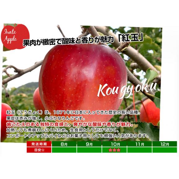 岩手県から産地直送 JAいわて中央 樹上完熟りんご「紅玉」等級：特以上 約2.5キロ（10玉から12玉）送料無料 りんご 林檎 リンゴ こうぎょく05
