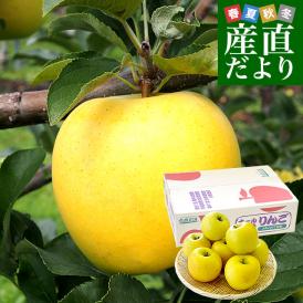 岩手県から産地直送 JAいわて中央 樹上完熟りんご「シナノゴールド」等級：特以上 約2.5キロ（7玉から10玉）送料無料 りんご 林檎 リンゴ