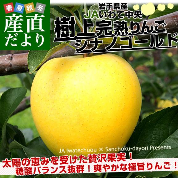 岩手県から産地直送 JAいわて中央 樹上完熟りんご「シナノゴールド」等級：特以上 約2.5キロ（7玉から10玉）送料無料 りんご 林檎 リンゴ02