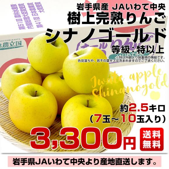 岩手県から産地直送 JAいわて中央 樹上完熟りんご「シナノゴールド」等級：特以上 約2.5キロ（7玉から10玉）送料無料 りんご 林檎 リンゴ03
