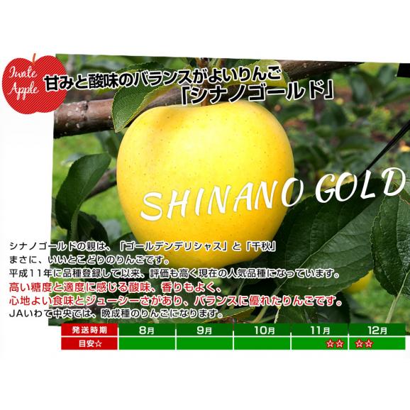 岩手県から産地直送 JAいわて中央 樹上完熟りんご「シナノゴールド」等級：特以上 約2.5キロ（7玉から10玉）送料無料 りんご 林檎 リンゴ05