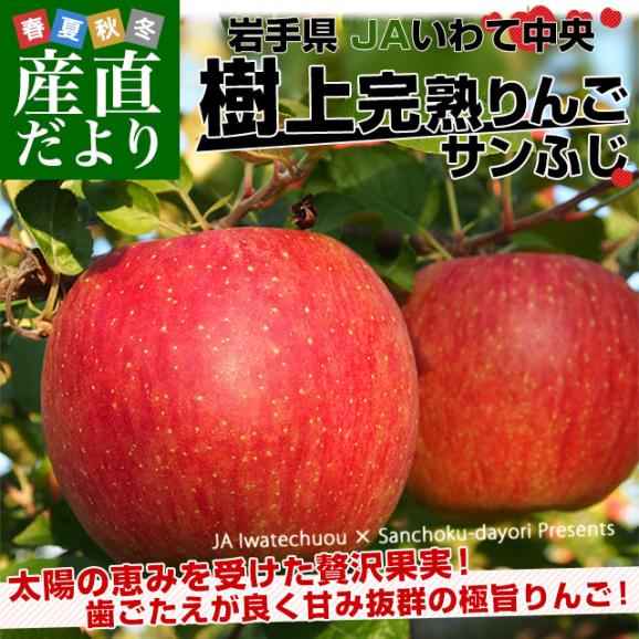 岩手県から産地直送 JAいわて中央 樹上完熟りんご「サンふじ」等級：特以上 約2.5キロ（7玉から11玉）送料無料 りんご 林檎 リンゴ さんふじ02