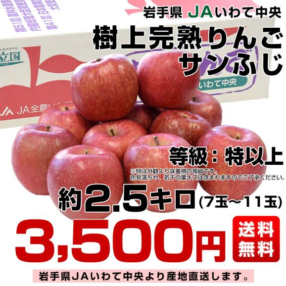 岩手県から産地直送 JAいわて中央 樹上完熟りんご「サンふじ」等級：特以上 約2.5キロ（7玉から11玉）送料無料 りんご 林檎 リンゴ さんふじ03