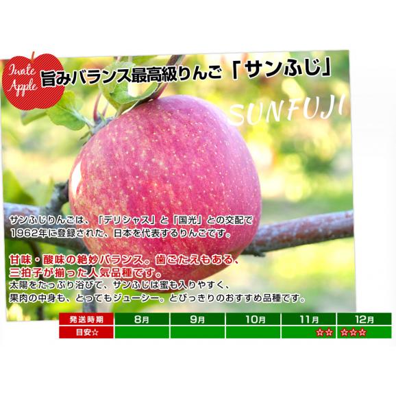 岩手県から産地直送 JAいわて中央 樹上完熟りんご「サンふじ」等級：特以上 約2.5キロ（7玉から11玉）送料無料 りんご 林檎 リンゴ さんふじ05