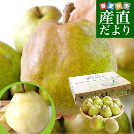 山形県産 ご家庭用ラフランス約5キロ（12玉から20玉）送料無料 ラ・フランス 洋なし 洋梨