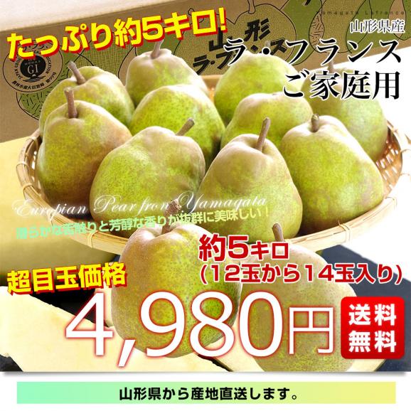 山形県産 ご家庭用ラフランス約5キロ（12玉から20玉）送料無料 ラ・フランス 洋なし 洋梨03
