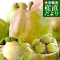 山形県産 ご家庭用ラフランス 約2キロ（5玉から8玉）送料無料 ラ・フランス 洋なし 洋梨