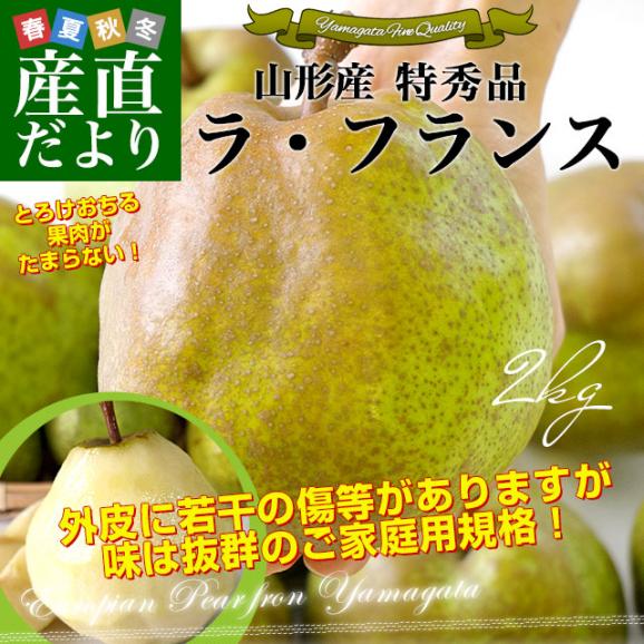 山形県産 ご家庭用ラフランス 約2キロ（5玉から8玉）送料無料 ラ・フランス 洋なし 洋梨02