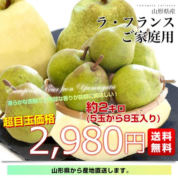 山形県産 ご家庭用ラフランス 約2キロ（5玉から8玉）送料無料 ラ・フランス 洋なし 洋梨03