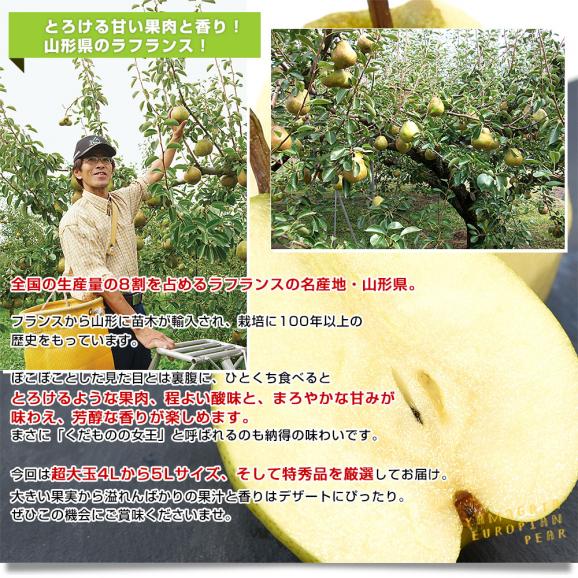 山形県産 ご家庭用ラフランス 約2キロ（5玉から8玉）送料無料 ラ・フランス 洋なし 洋梨04