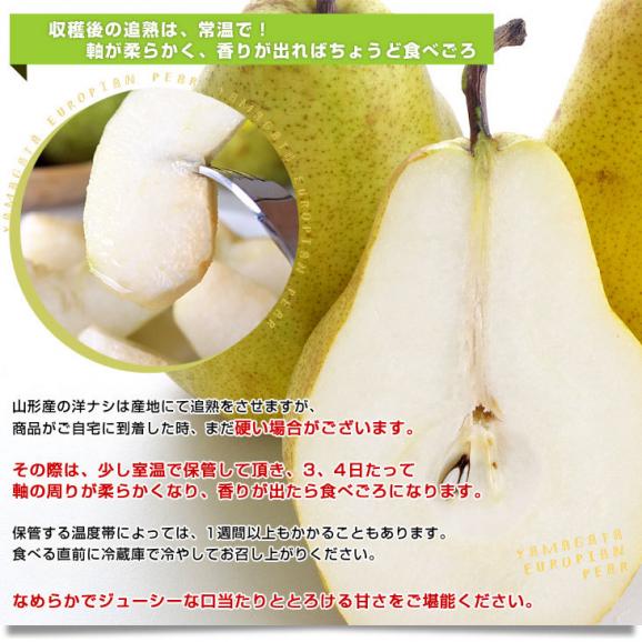 山形県産 ご家庭用ラフランス 約2キロ（5玉から8玉）送料無料 ラ・フランス 洋なし 洋梨06