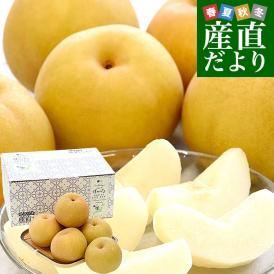 新潟県産 新美月（しんみづき） 大玉 約2キロ(4玉から6玉) 送料無料 しんみずき 赤梨　梨　なし