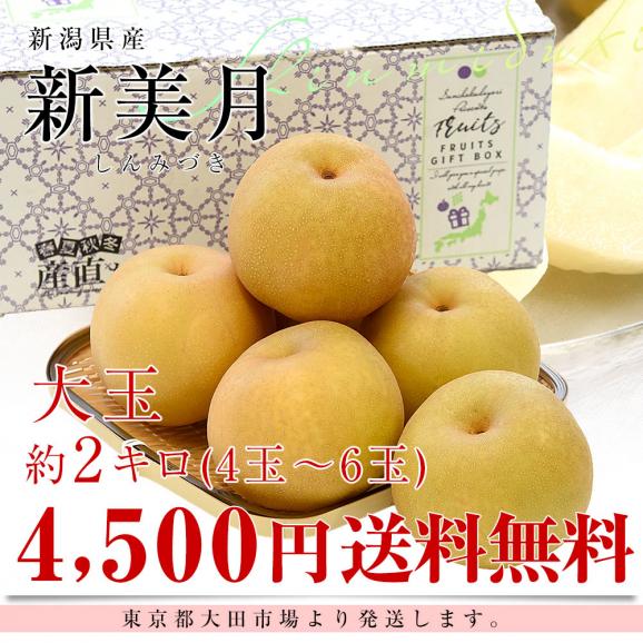 新潟県産 新美月（しんみづき） 大玉 約2キロ(4玉から6玉) 送料無料 しんみずき 赤梨　梨　なし03