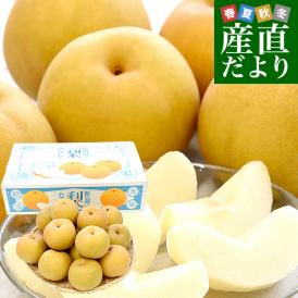 新潟県産 新美月（しんみづき） 大玉 約5キロ(10玉から14玉) 送料無料 しんみずき 赤梨　梨　なし