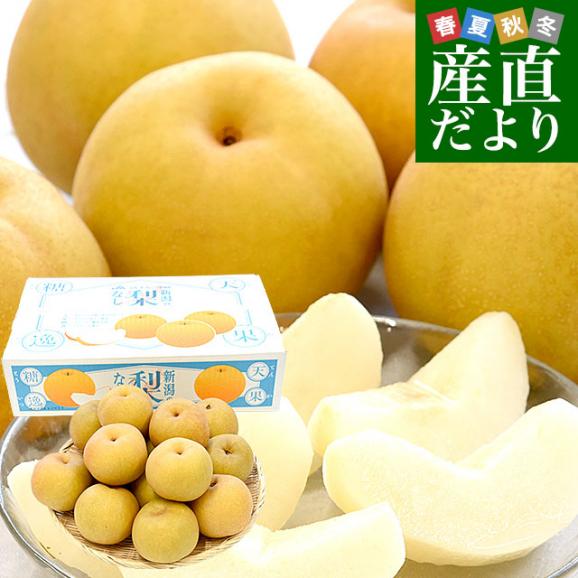 新潟県産 新美月（しんみづき） 大玉 約5キロ(10玉から14玉) 送料無料 しんみずき 赤梨　梨　なし01