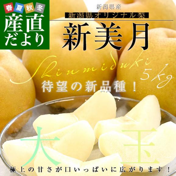 新潟県産 新美月（しんみづき） 大玉 約5キロ(10玉から14玉) 送料無料 しんみずき 赤梨　梨　なし02