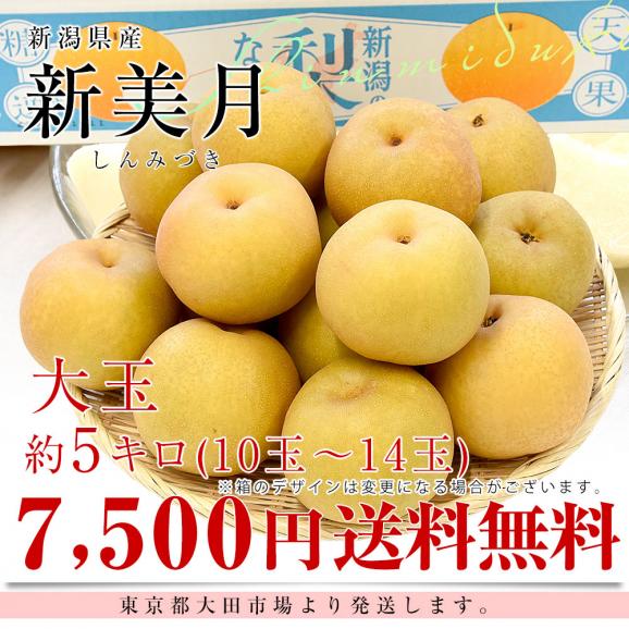 新潟県産 新美月（しんみづき） 大玉 約5キロ(10玉から14玉) 送料無料 しんみずき 赤梨　梨　なし03