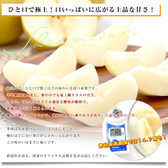 新潟県産 新美月（しんみづき） 大玉 約5キロ(10玉から14玉) 送料無料 しんみずき 赤梨　梨　なし05