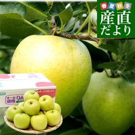 岩手県から産地直送 JAいわて中央 樹上完熟りんご「サンふじ」等級：特以上 約2.5キロ（7玉から11玉）送料無料 りんご 林檎 リンゴ さんふじ