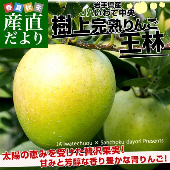 岩手県から産地直送 JAいわて中央 樹上完熟りんご「王林」等級：特以上 約2.5キロ（8玉から11玉）送料無料 りんご 林檎 リンゴ おうりん02