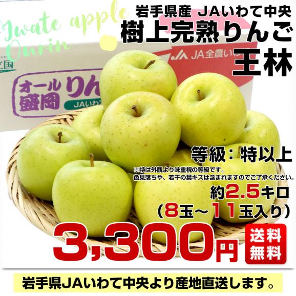 岩手県から産地直送 JAいわて中央 樹上完熟りんご「王林」等級：特以上 約2.5キロ（8玉から11玉）送料無料 りんご 林檎 リンゴ おうりん03