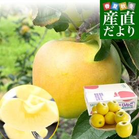 岩手県から産地直送 JAいわて中央 樹上完熟りんご「こうこう」等級：特以上 約2.5キロ（7玉から10玉）送料無料 りんご 林檎 リンゴ