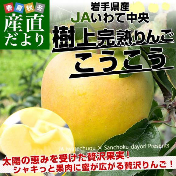 岩手県から産地直送 JAいわて中央 樹上完熟りんご「こうこう」等級：特以上 約2.5キロ（7玉から10玉）送料無料 りんご 林檎 リンゴ02